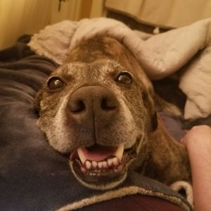 SHOE BUNDLE FOR LISA